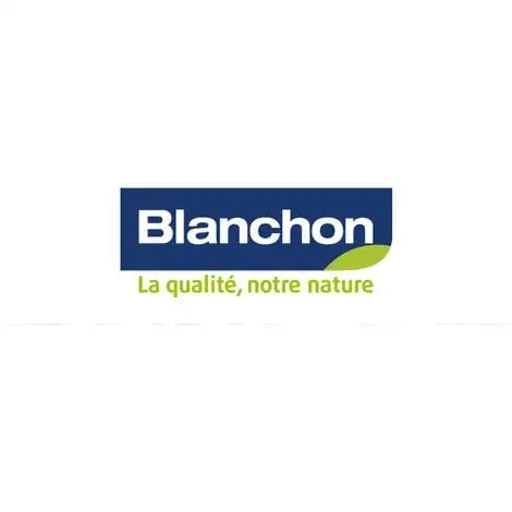 BLANCHON Vitrificateur Parquet VP 2.5L Brillant - Incolore 2 BLANCHON Vitrificateur Parquet VP 2.5L Brillant - Incolore – Image 2