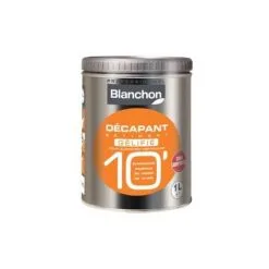 BLANCHON Décapant Bâtiment 10' Gélifié 1L