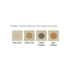 BLANCHON Mastic Bois Poudre - Chêne Rustique - 500 G 5 BLANCHON Mastic Bois Poudre - Chêne Rustique - 500 G -Magasin D'usine Blanchon 9588612 3